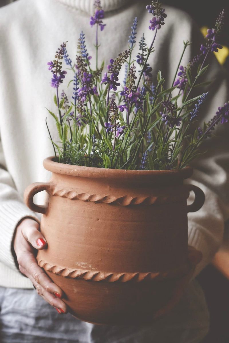 Trend - Lavendel H 50 Cm