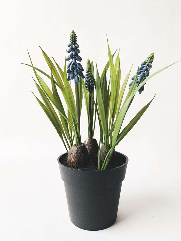 TREND - Perleblomst I Potte 29 Cm